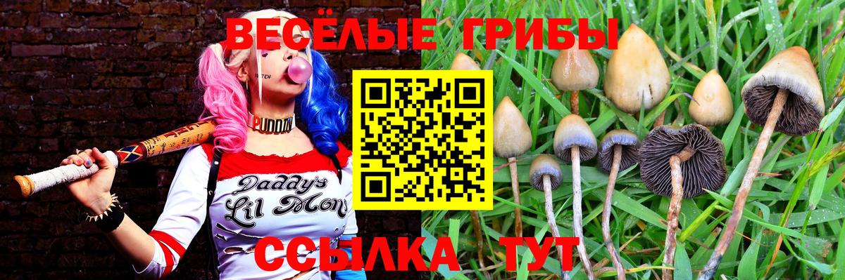 Галлюциногенные грибы мицелий  Галлюциногенные грибы мухоморы  Вход с VPN  Борзя 